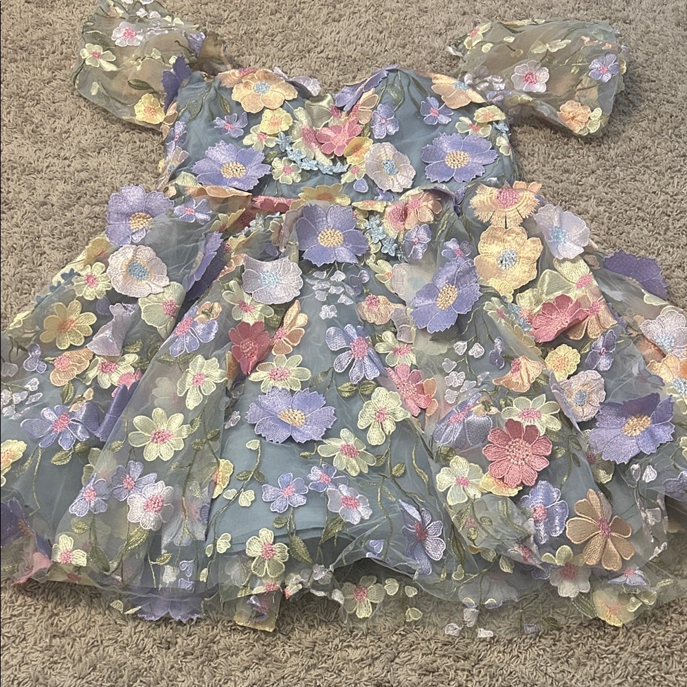 Floral Embroidered Mini Dress